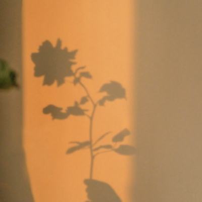 英灵召唤师小米客户端下载